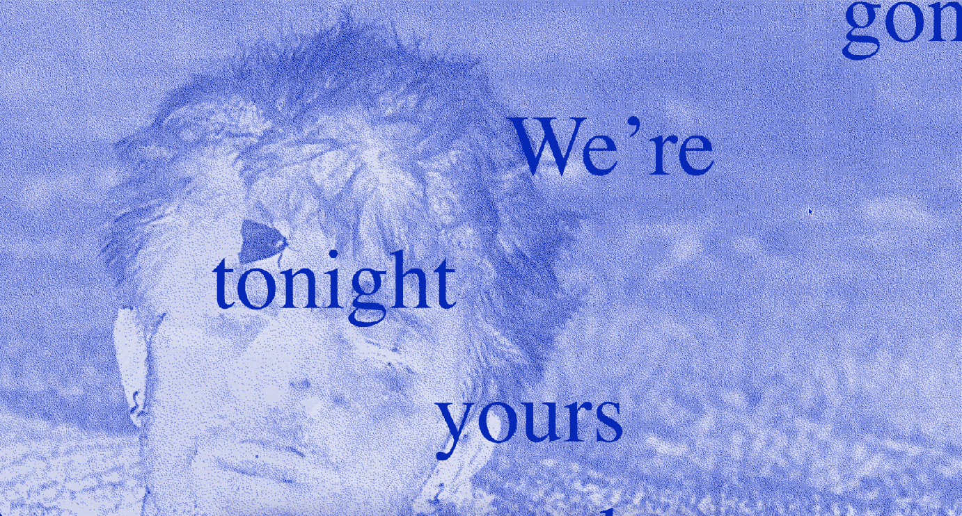 book & website design