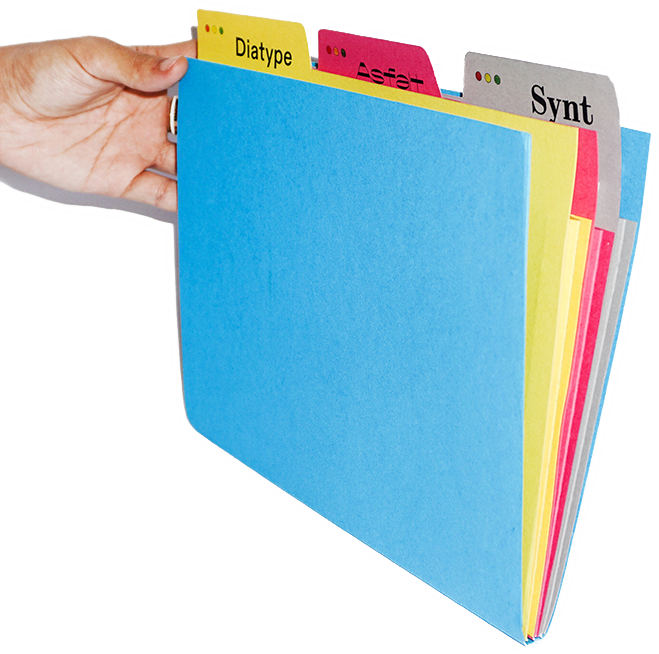 type specimen design