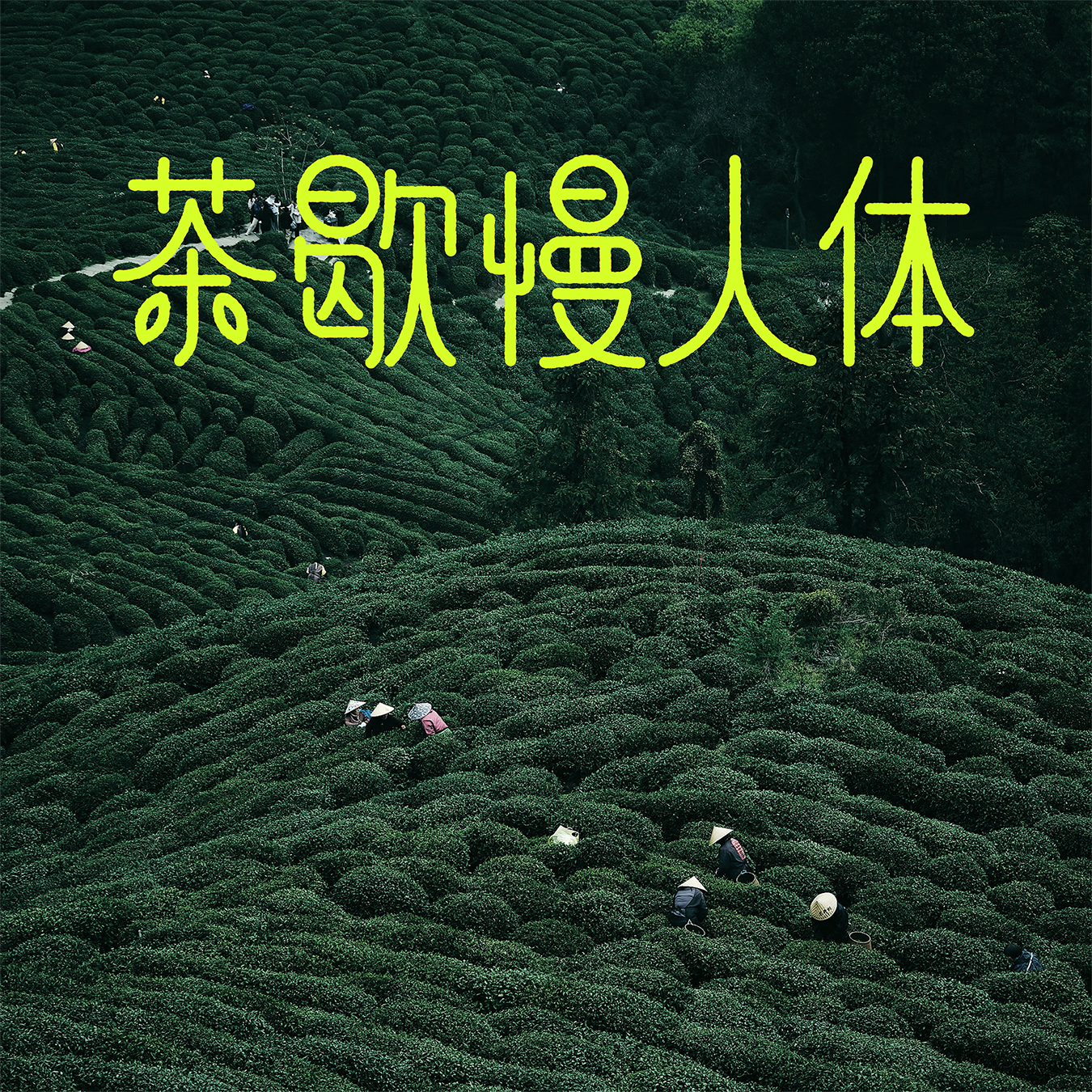 tea typeface
