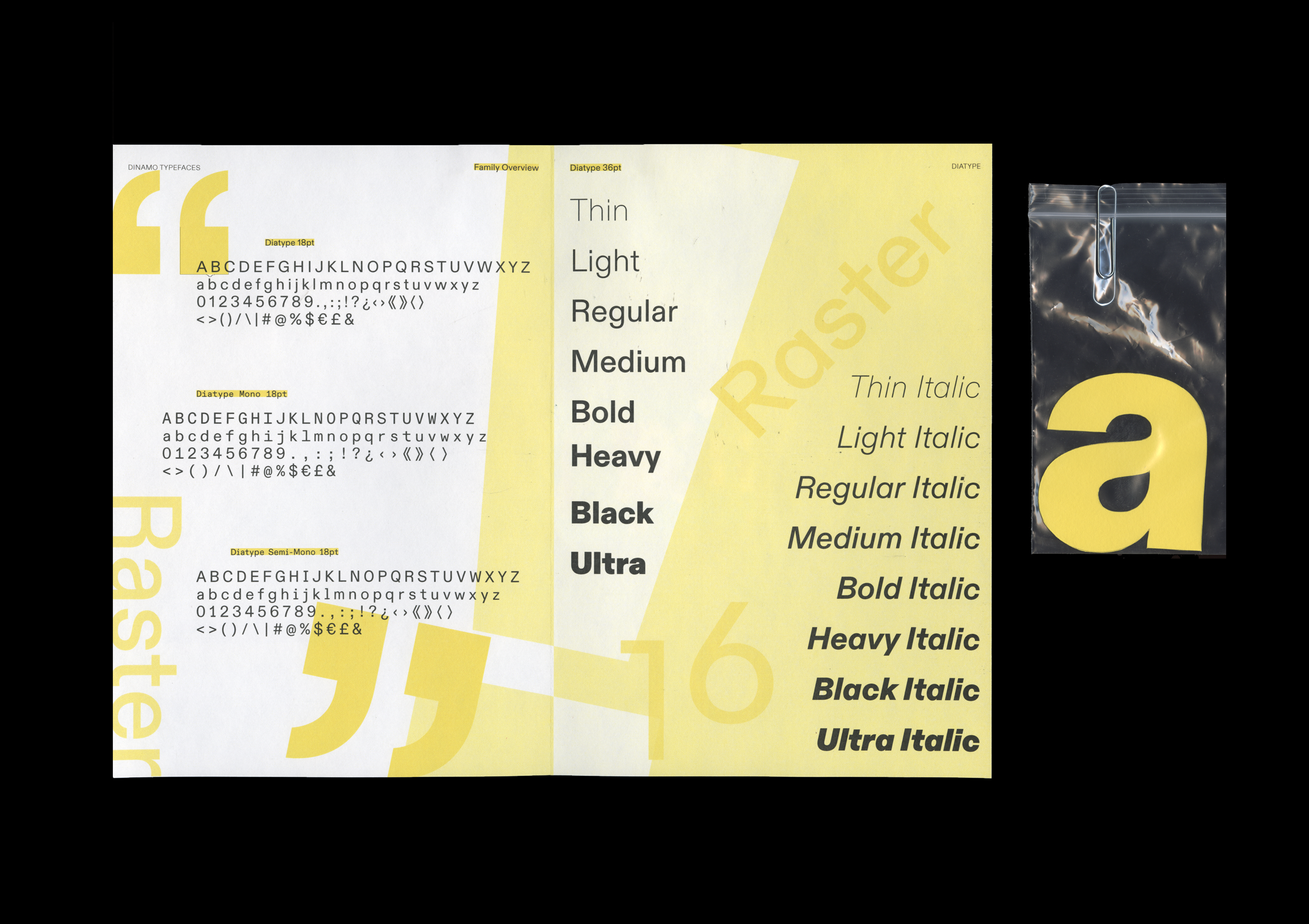 Diatype Type Specimen